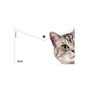 Папка-конверт А4 с кнопкой, непрозрачная, ассорти, 180 мкм, Erich Krause Hiding Cats /12/1