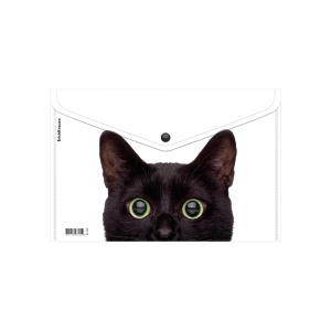 Папка-конверт А4 с кнопкой, непрозрачная, ассорти, 180 мкм, Erich Krause Hiding Cats /12/1